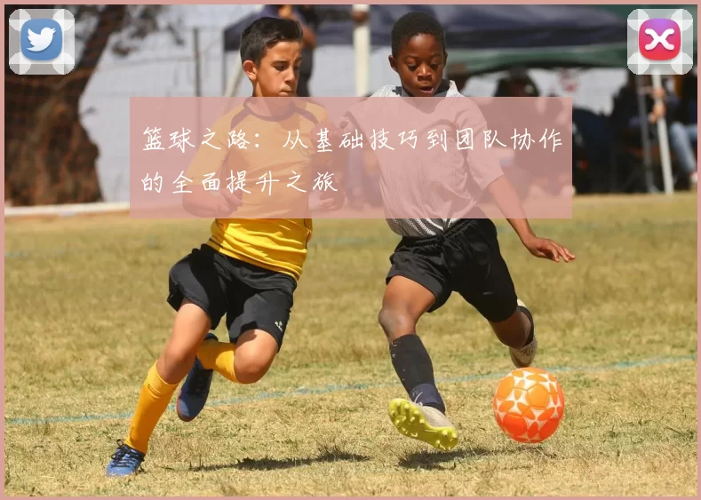 篮球之路：从基础技巧到团队协作的全面提升之旅