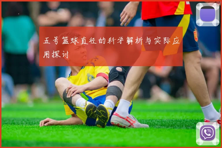 五号篮球直径的科学解析与实际应用探讨