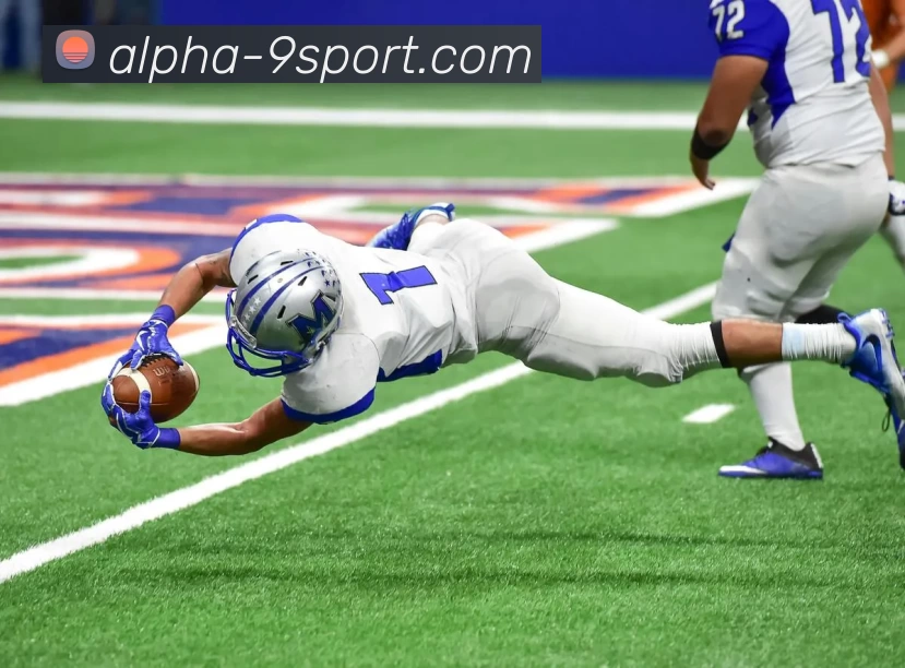 App Interface Preview