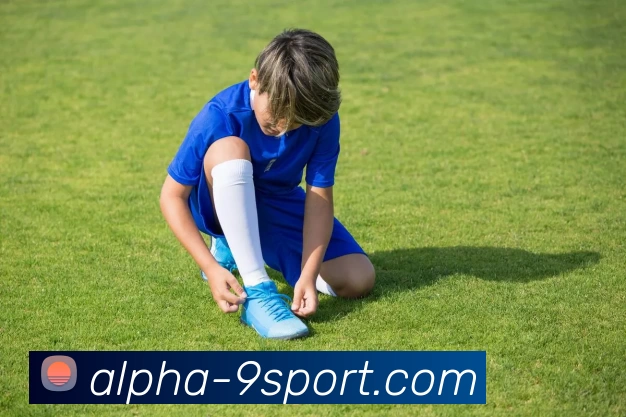 九游体育APP 封面图